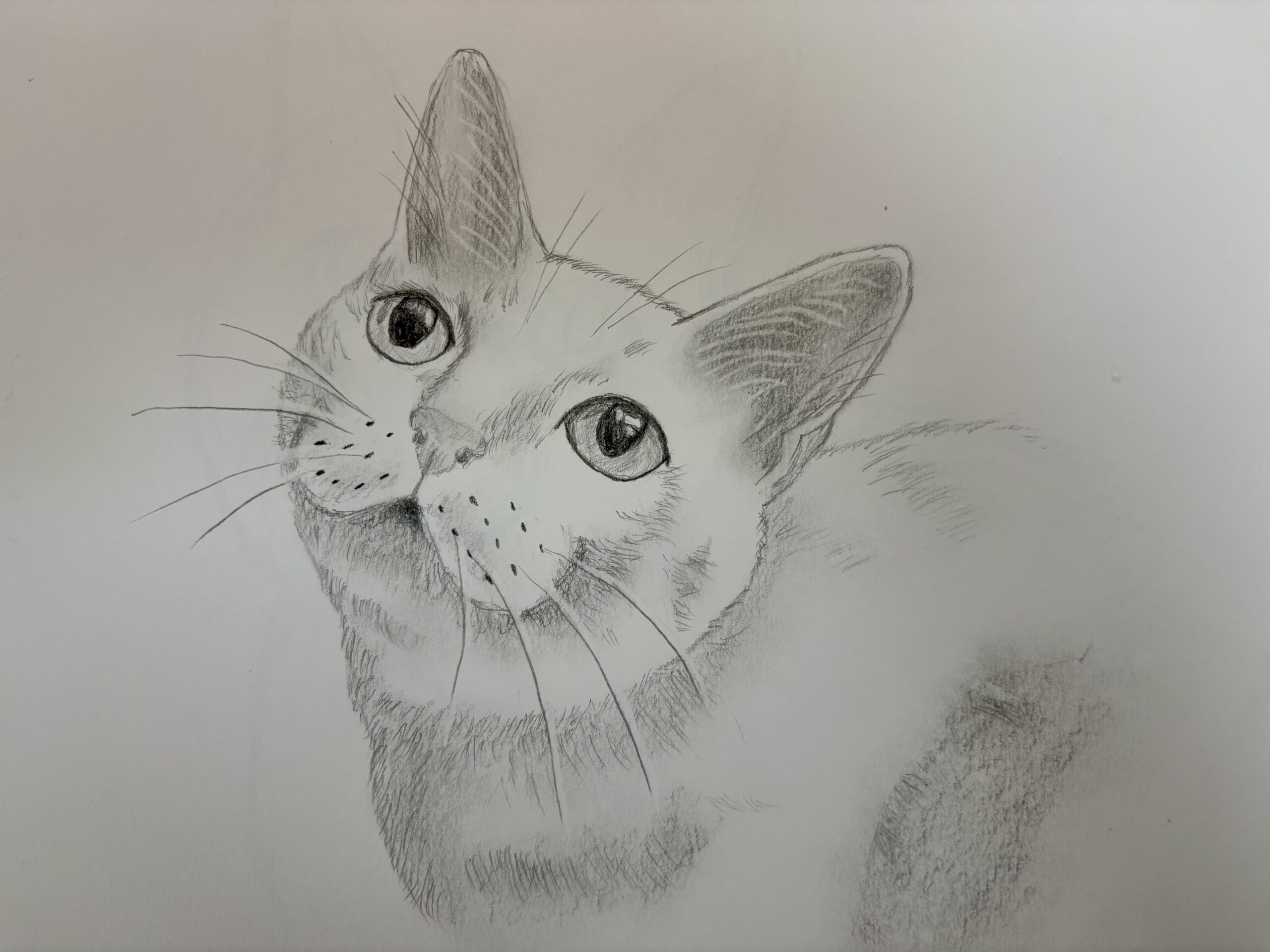 猫の絵】アクリル絵の具での描き方｜失敗ゼロ5ステップ完全保存版 